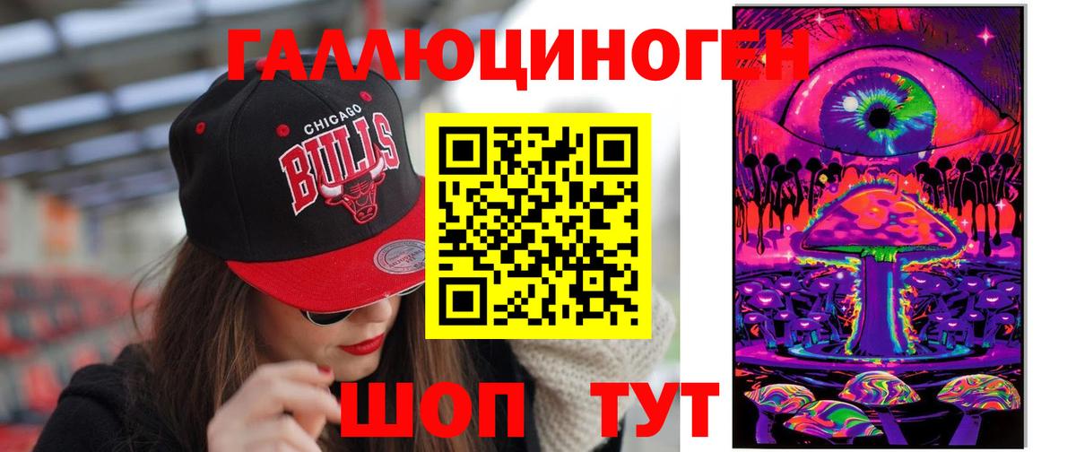 Псилоцибиновые грибы Psilocybe Таганрог