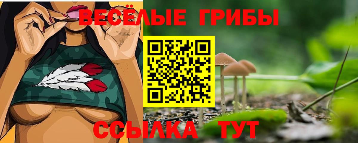 Таганрог  Галлюциногенные грибы Cubensis  Вход с VPN  Галлюциногенные грибы прущие грибы 
