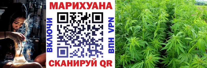 Бошки марихуана OG Kush  kraken ССЫЛКА  Таганрог 